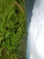 IMG20250621182833.jpg