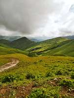 IMG20250623165025.jpg