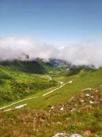 IMG20250624125912.jpg