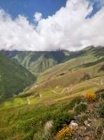 IMG20250624115333.jpg