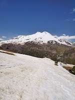 IMG20250625135334.jpg