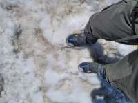 IMG20250625134044.jpg