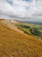 IMG20250626162617.jpg