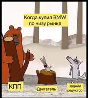 17510196941880.mp4