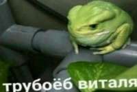 трубоеб.jpg