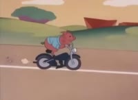 0d8w762yFpghjKVV.mp4
