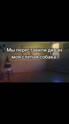 17537559171259115.mp4