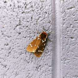 IMG20250804131642.jpg