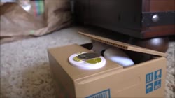 .webm