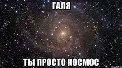 175652237328621236.jpeg