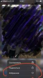 753980C6-7599-4F2A-B22B-B51228F4BCEC.jpeg