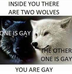 gay wolf.jpg