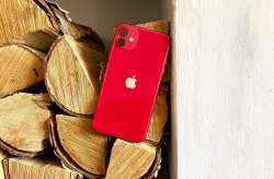 RED 11 000 (4).jpeg