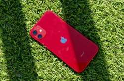 RED 11 000 (2).jpeg