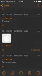 img1575841075.6030731