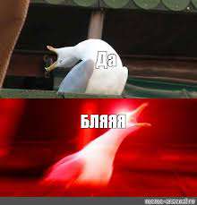 images.jpg