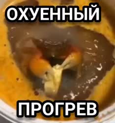 17501645299290.mp4