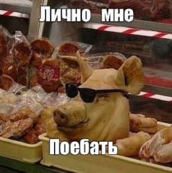 175156536827357311.jpeg