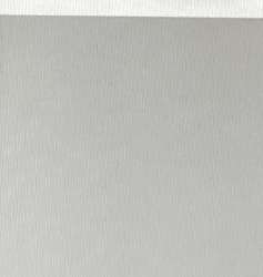 IMG6994.jpeg