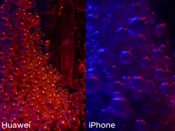 175336571919073839.mp4