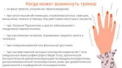 IMG2064.jpeg