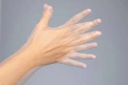IMG2063.jpeg