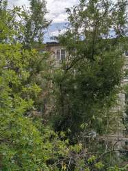 IMG20250724091105.jpg
