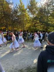 IMG1238-1746014635054.jpeg