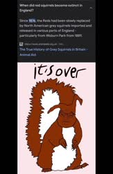 17288219632920.mp4