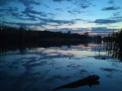 IMG20250430202850-Edit-01.jpeg
