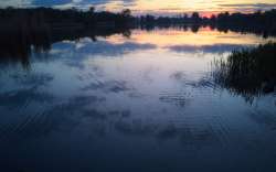 IMG20250430195047-Edit-01.jpeg