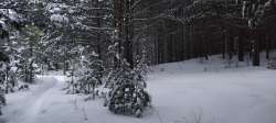 IMG20250121084706.jpg