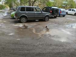 IMG20250512123436v6.7.7sRealmeLMC8.3r3.jpg