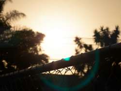 PXL20250602020412620.RAW-02.ORIGINAL.jpg