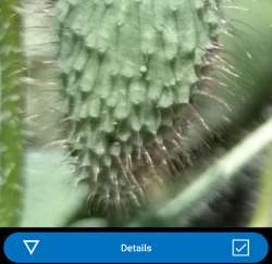 Screenshot20250603-151742.png
