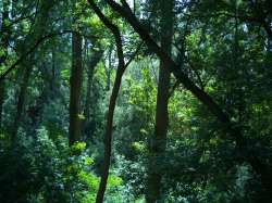 IMG20250616135202-Edit-1.jpg