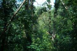 IMG20250616134629-Edit.jpg