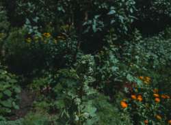 1000068409.jpg