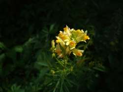 IMG20250630125336-Edit.jpg