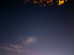 PXL20241011171358742.NIGHT.jpg