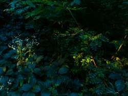 IMG20240712060722.jpg