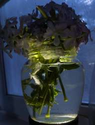 IMG20240704205159.jpg