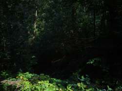 IMG20250705112055-Edit.jpg