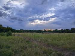 IMG20250725195741.jpg