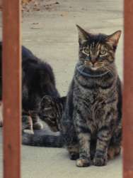 PXL20250813233032406.RAW-02.ORIGINAL.jpg