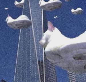 YA-vyNhfQFSO9RPFL8eaQDmhPaViWsSKt9sUIs8BzeP62WBdNvUyS3jronegMMaKJms3NKQ7aFG5ni4ENEtdJW-X.jpg