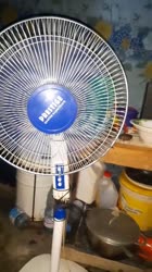 175729782479564228.mp4