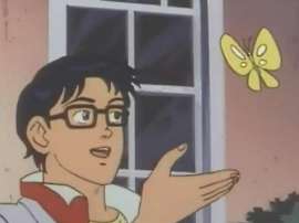 meme-mariposa-1536x1152.jpg