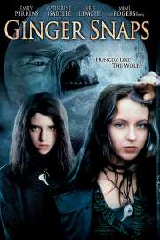 ginger snaps.jpg