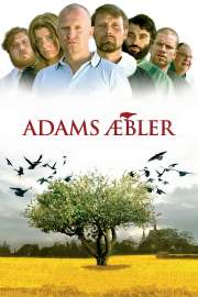 Adams æbler.jpg